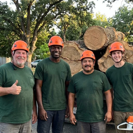 George tree crew with a truck loaded with oak logs in Roseville